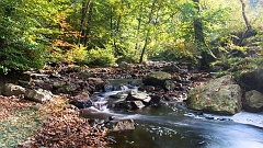 20151012 0193 Hoëgne : Ardennen, Hoegne vallei, La Hoegne